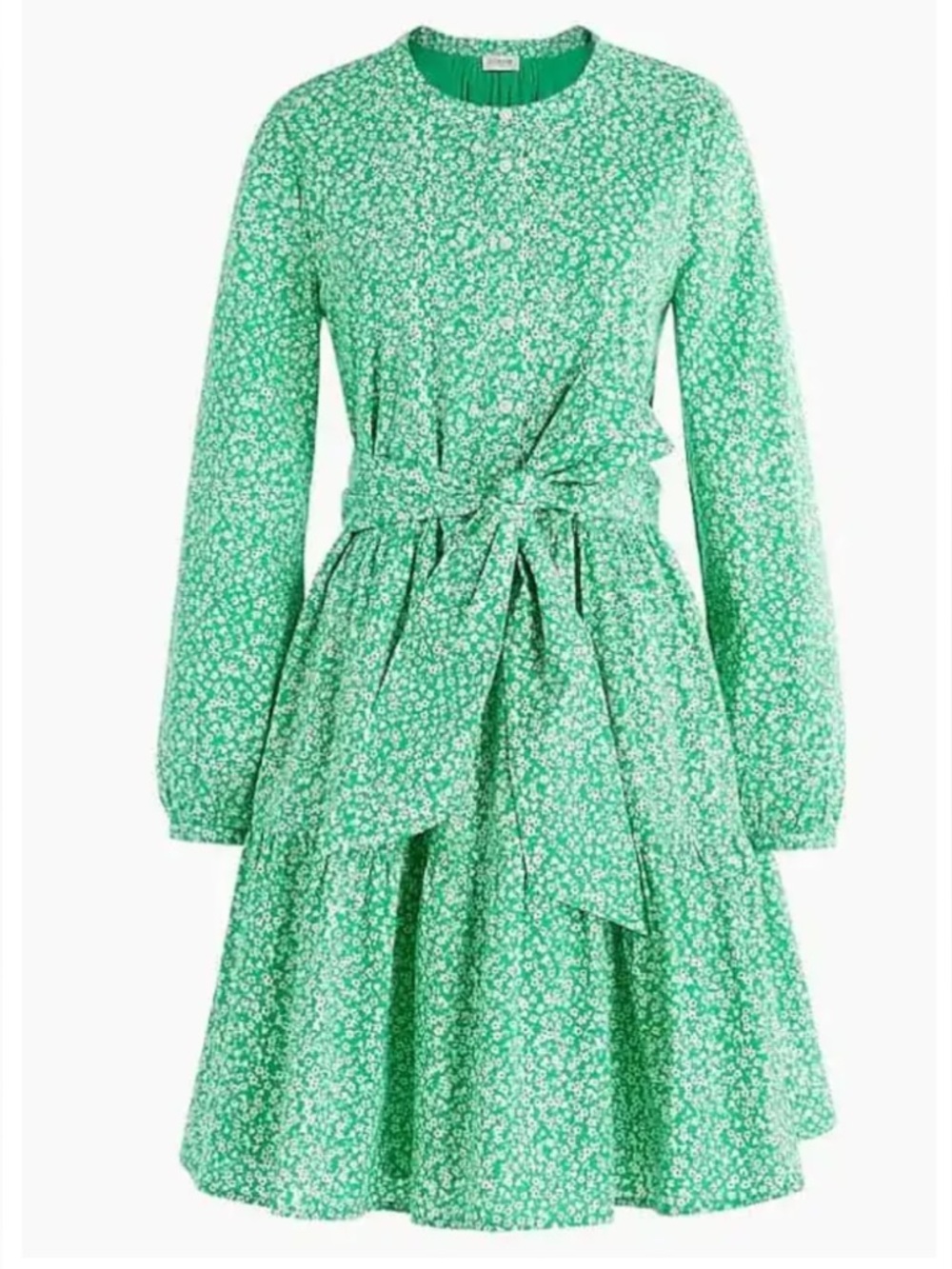 J. Crew Green Floral Long-Sleeve Tie-Waist Dress